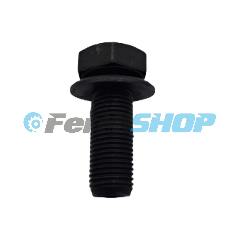 4894641 skrutka zotrvačníka so šesťhranou hlavou M12x1,25 Iveco Eurocargo