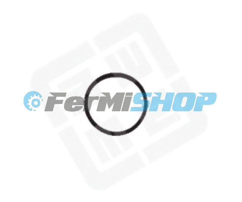 121210 o-krúžok piestiku radenia Iveco Eurocargo