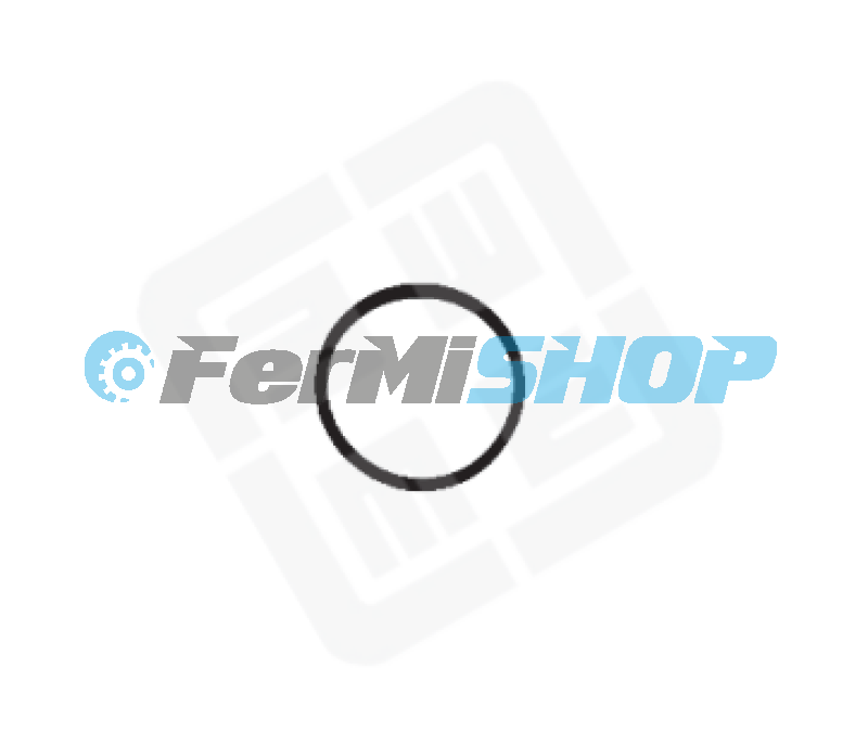 124415 o - krúžok nádržky servoriadenia Iveco Eurocargo Tector d=46 mm