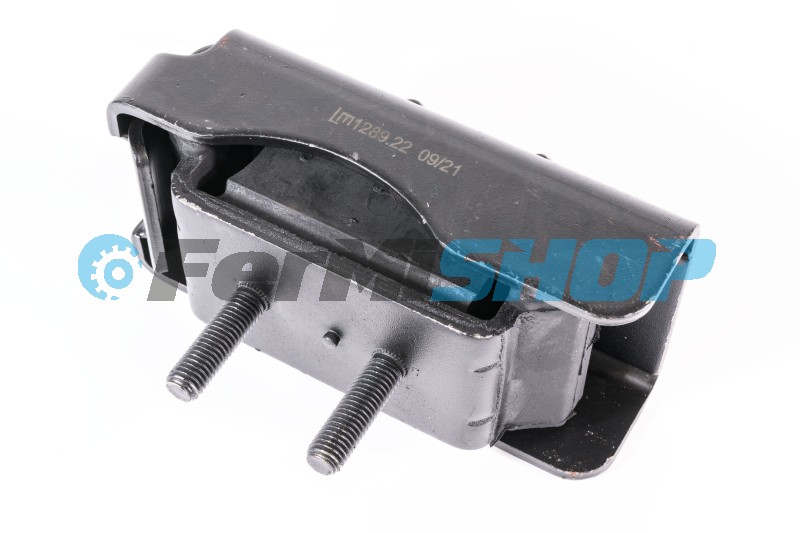 1289.22 silenblok motora Iveco Daily P