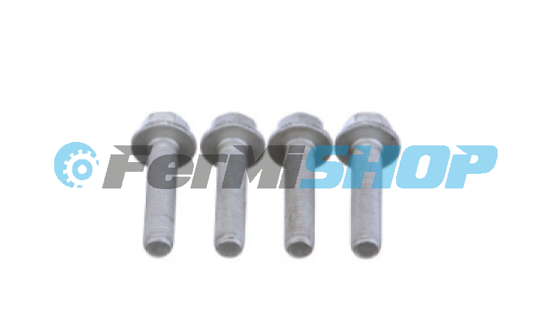 16587525 skrutka M10x45mm