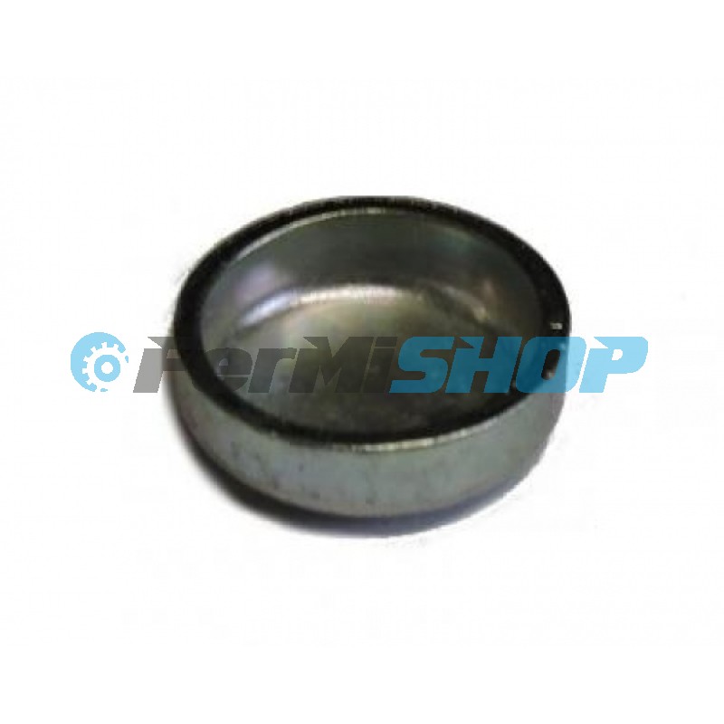 16988001 záslepka prevodovky DAILY 14mm