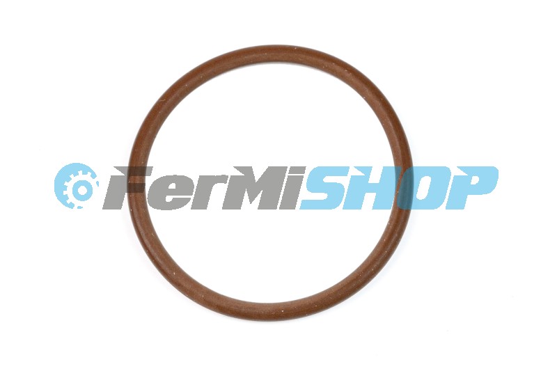 17278881-C o-krúžok vstrekovača Iveco Cursor 8