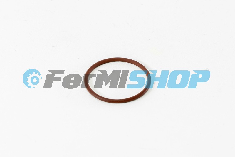 17279081 o- krúžok púzdra vstrekovača Iveco Stralis, Trakker mot. F3AE, F3BE 