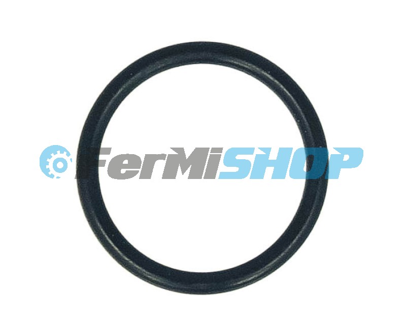 17282280 o - krúžok výpustnej skrutky vane TECTOR/Daily