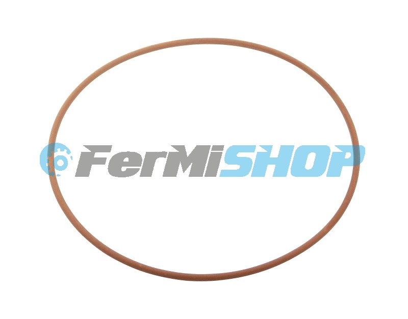 17292681 o-krúžok vodnej pumpy/veka kľukovej hriadele Cursor Iveco Stralis