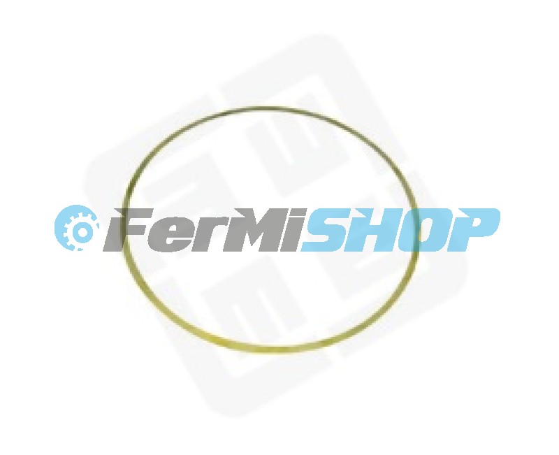 1929003 podložka vymedzovacia hr. 014 mm pod vložku valcov Iveco Stralis mot. F2BE