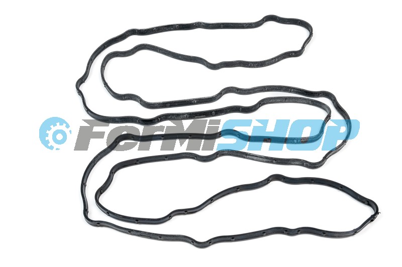 20102.40 tesnenie veka ventilov Cursor/Stralis mot. F3BE