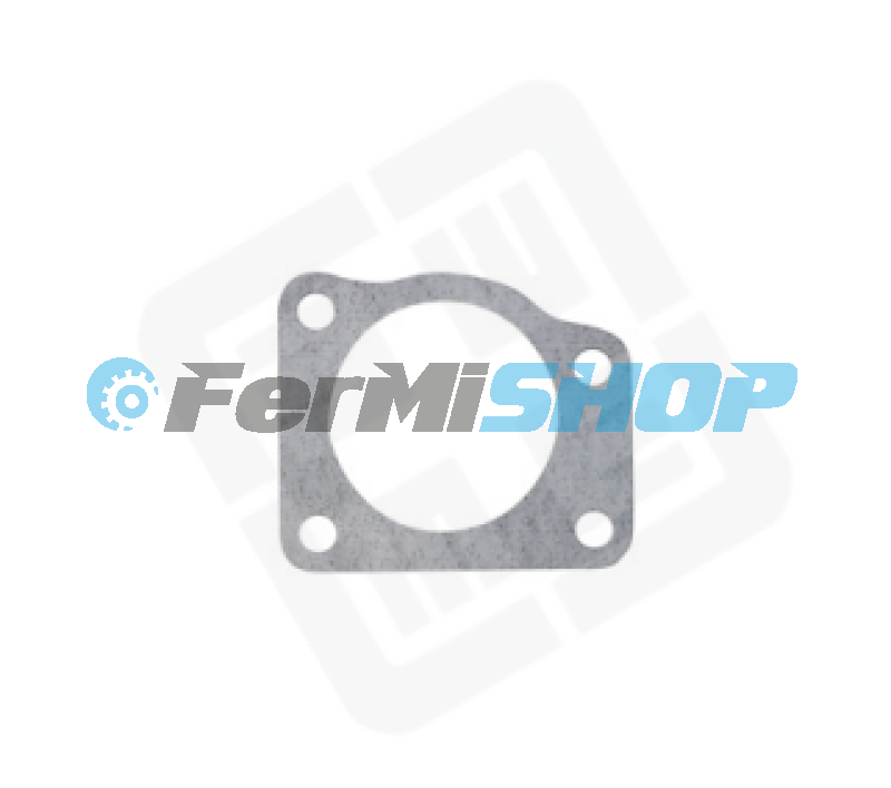 21512.40 tesnenie škrtiacej klapky Iveco Daily, Fiat Ducato 3.0