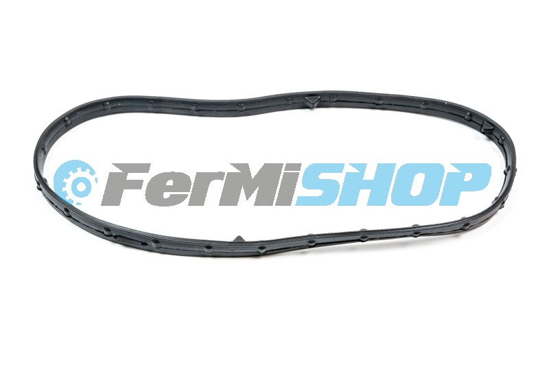 22012.00 tesnenie krytu vačky Iveco Daily