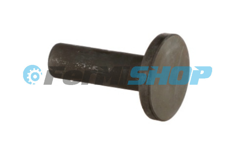 220900 zdvihátko ventilu Iveco Eurocargo Tector