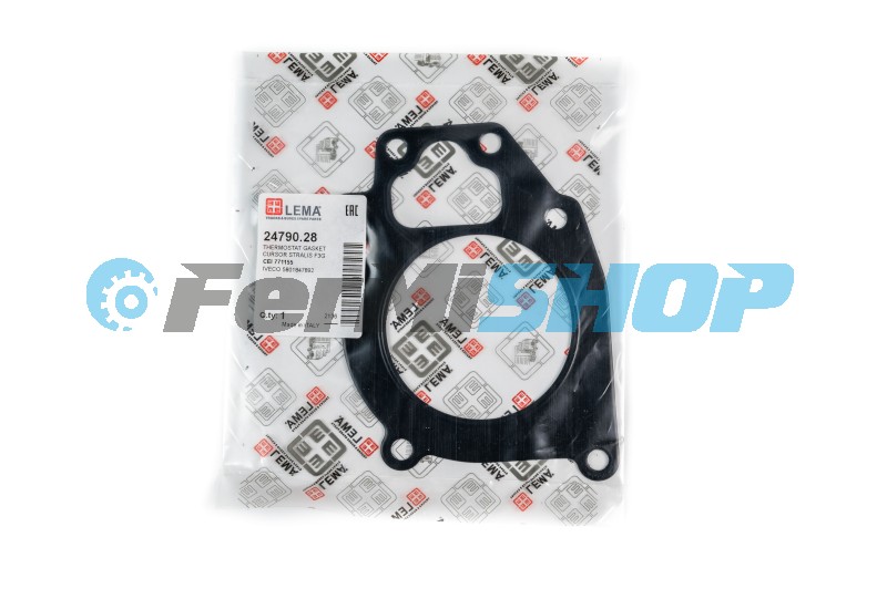 24790.28 tesnenie termostatu Iveco Stralis E6, Trakker E6