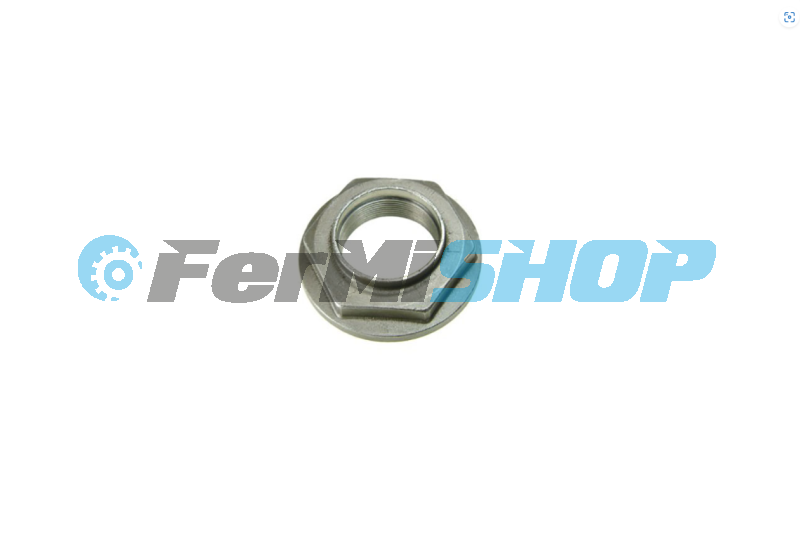 30170137 matica diferenciálu Iveco Trakker