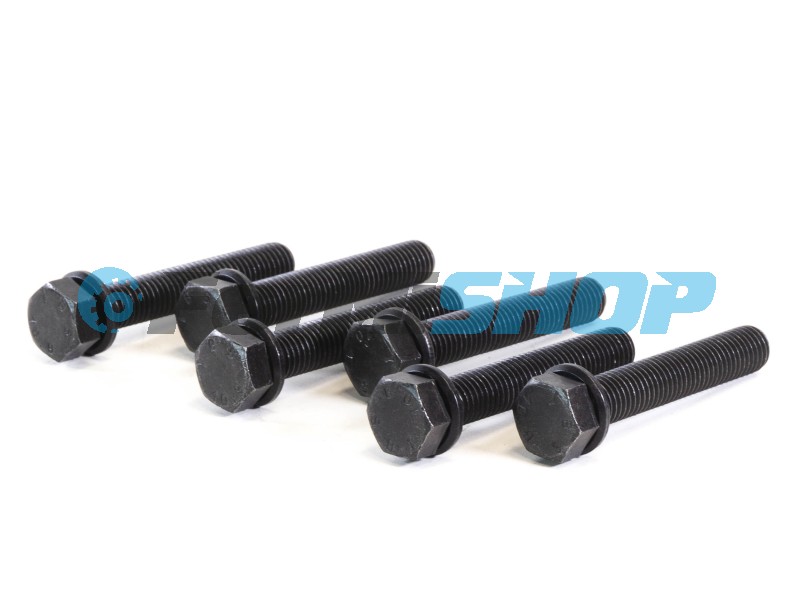 480440 skrutka hlavy 12x73 mm Iveco EuroCargo V F4GFE601A