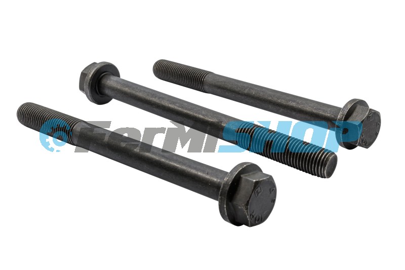 480860 skrutka hlavy M17x2x185mm Iveco Stralis