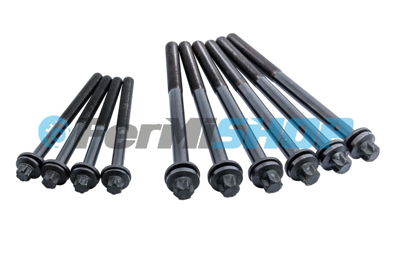 483020 sada skrutky hlavy valcov Daily C/L/S 10/12