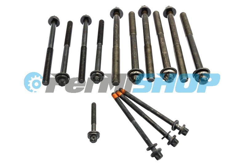 483070 skrutky hlavy motora kompletná sada Iveco Daily, Fiat Ducato 3,0