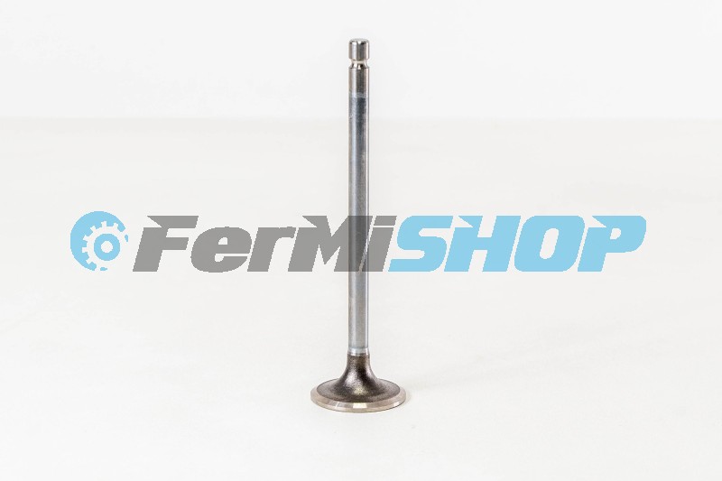 4895052-MD ventil sací Iveco Eurocargo Tector E3/4/5/6