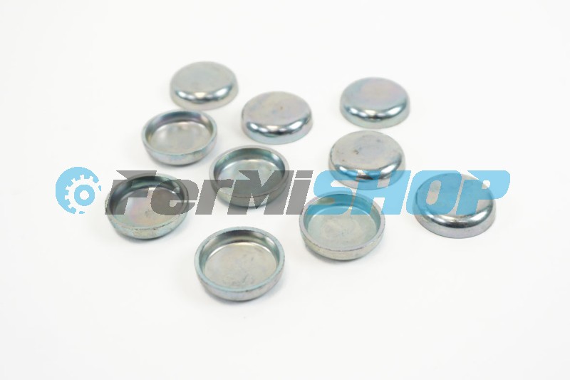 4895089 zátka protimrazová Iveco Eurocargo Tector 22 mm