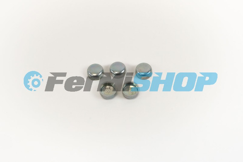 4895408 zátka protimrazová TECTOR  13 mm