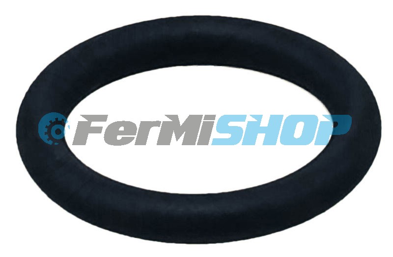 4898372 o - krúžok obalu odvetraniaIveco Eurocargo  TECTOR DIAM=13,11MM SP=2,62