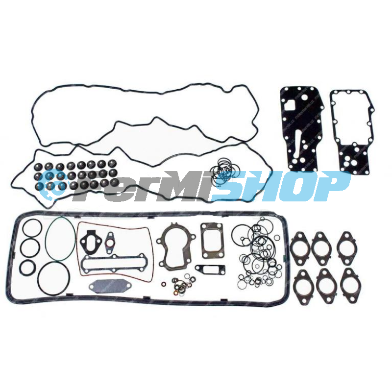 500055314 sada tesnenia motora Iveco Cursor C11