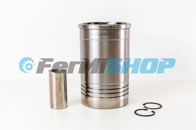 500055961 piest kompletný s vložkou Cursor 8 Euro 4/5 F2B