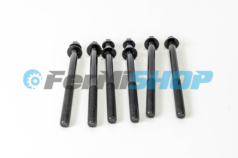 504081515 skrutka hlavy motora Iveco Daily, Fiat Ducato mot. F1CE0481 M15X1,5