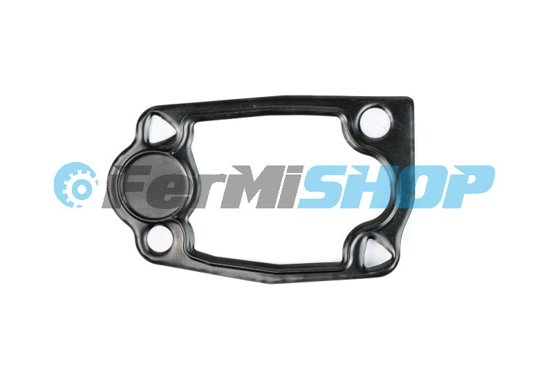 504090524 tesnenie pod termostat Iveco Daily, Fiat Ducato 3.0 mot. F1C