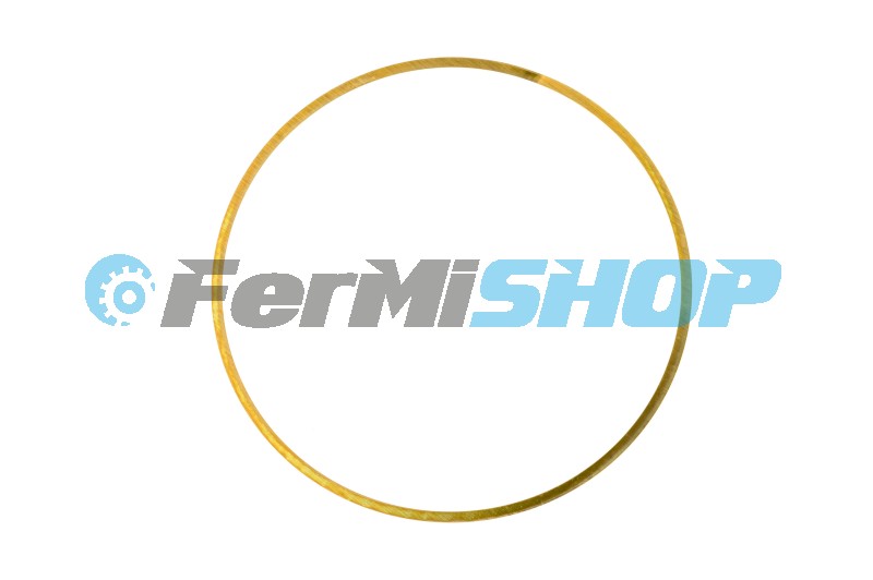 504128648 podložka vymedzovacia vložky valca 0,08mm Iveco Stralis, S-WAY, Trakker, Bus Cursor 9 E6