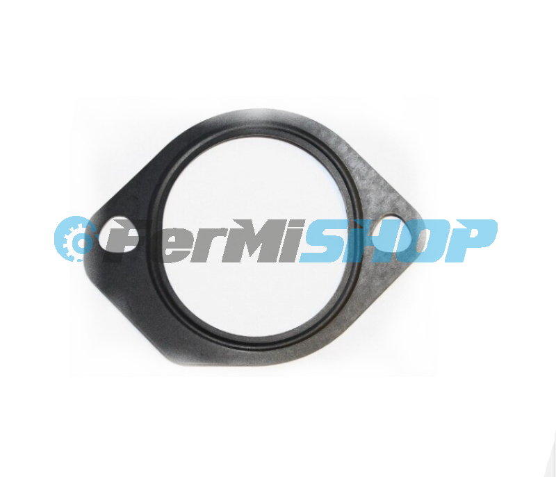 504317822-R tesnenie EGR Iveco Daily 2009-