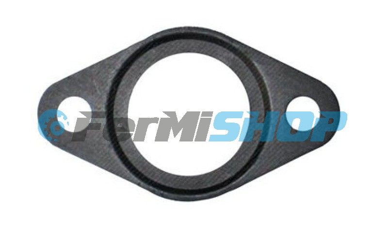 504341194 tesnenie AGR ventil - sací koš Iveco Daily, Fiat Ducato