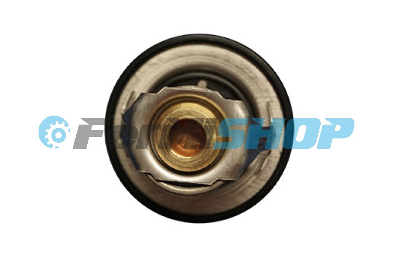 5801705532 termostat Iveco Eurocargo Tector E6 2015-