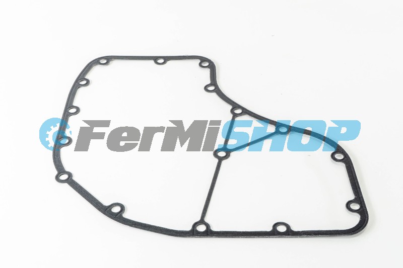 960600 tesnenie krytu rozvodov Iveco Daily, Fiat Ducato 3,0