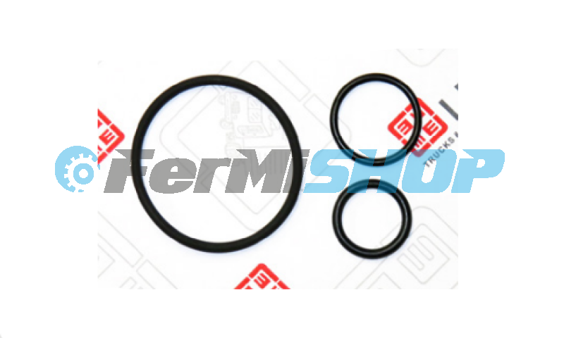 76132.05 sada O-krúžkov k servočerpadlu Iveco Eurocargo Tector