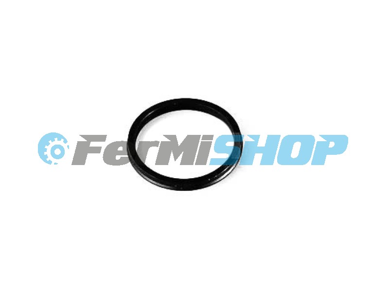 8869074 O-krúžok valca radenia Iveco Eurocargo, Eurotech