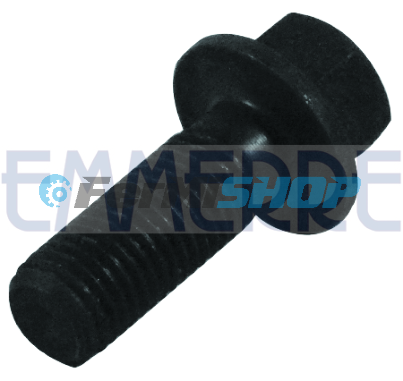 905555 skrutka turba M10x1,25x25 Iveco Eurocargo
