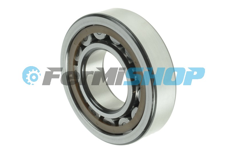 98170348 ložisko hrušky diferenciálu Iveco Trakker