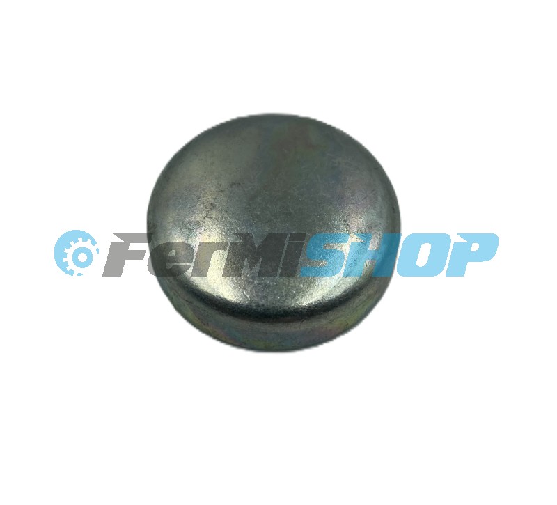 4895085-I zátka protimrazová /na hlave valcov/ Iveco Eurocargo Tector 25 mm