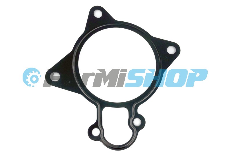 504080013 tesnenie vodnej pumpy Iveco Daily, Fiat Ducato 3.0 mot. F1C