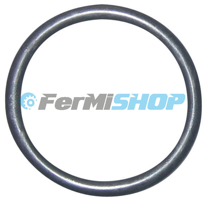 123190 o-krúžok turba k saniu 52,07x2,62  Iveco Eurocargo Tector E17-E18