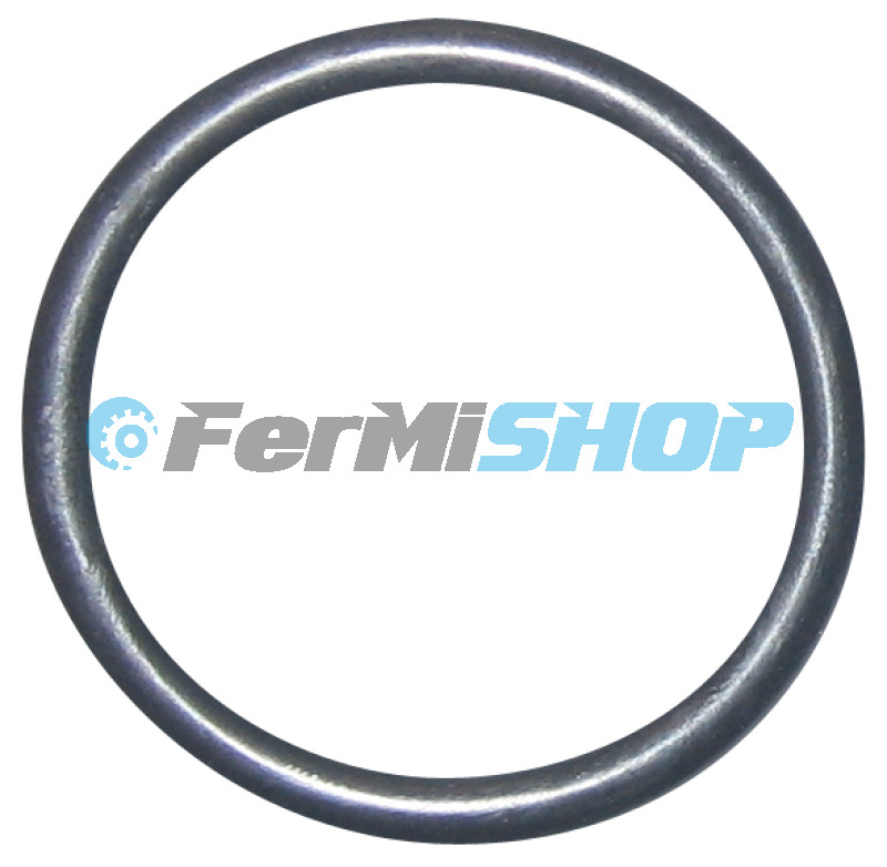 124180 O - krúžok vstrekovača Iveco Eurocargo Tector