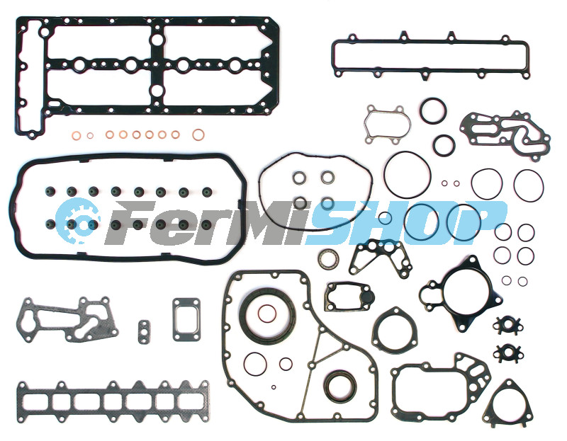 4005606 sada tesnenia motora Iveco Daily E4 3,0 mot. F1C, Fiat Ducato
