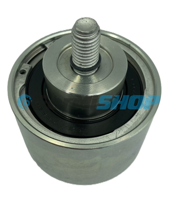 5801674387 kladka vodiaca Iveco  Stralis